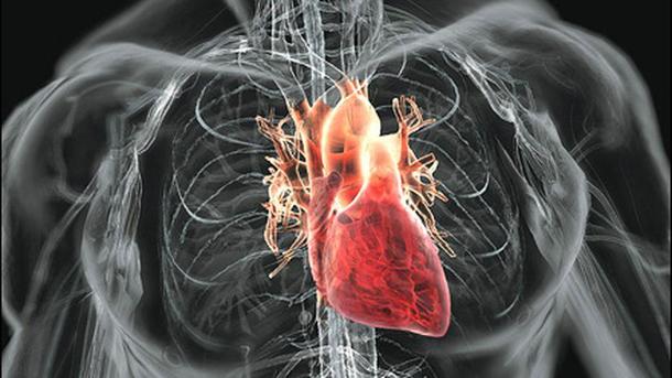 10 эффективных способов снизить риск развития инфаркта