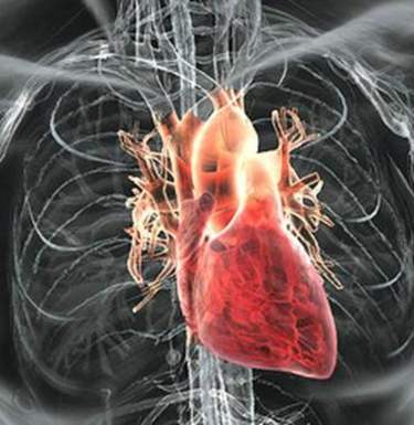 10 эффективных способов снизить риск развития инфаркта