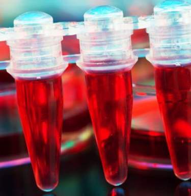 Ученые подобрались к секрету создания неисчерпаемых донорских клеток крови в лаборатории