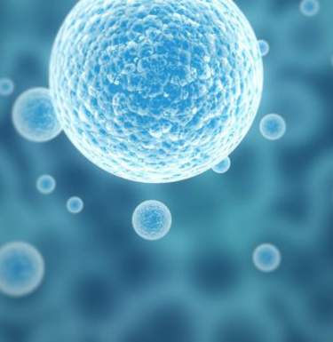 #видео | Ученые показали, как выглядит стволовая клетка в 3D