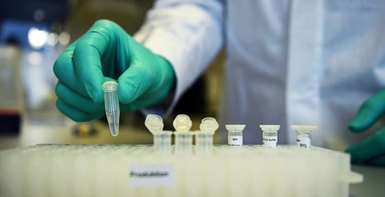 The Guardian: коронавирус заставляет противников прививок изменить взгляды