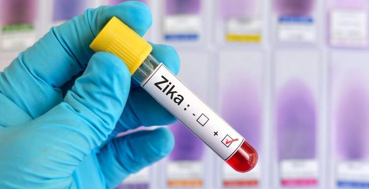 В США предлагают использовать вирус Зика для борьбы с раком