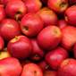 Свежие яблоки купить в СПб - как яблоки купить с доставкой на выгодных условиях
