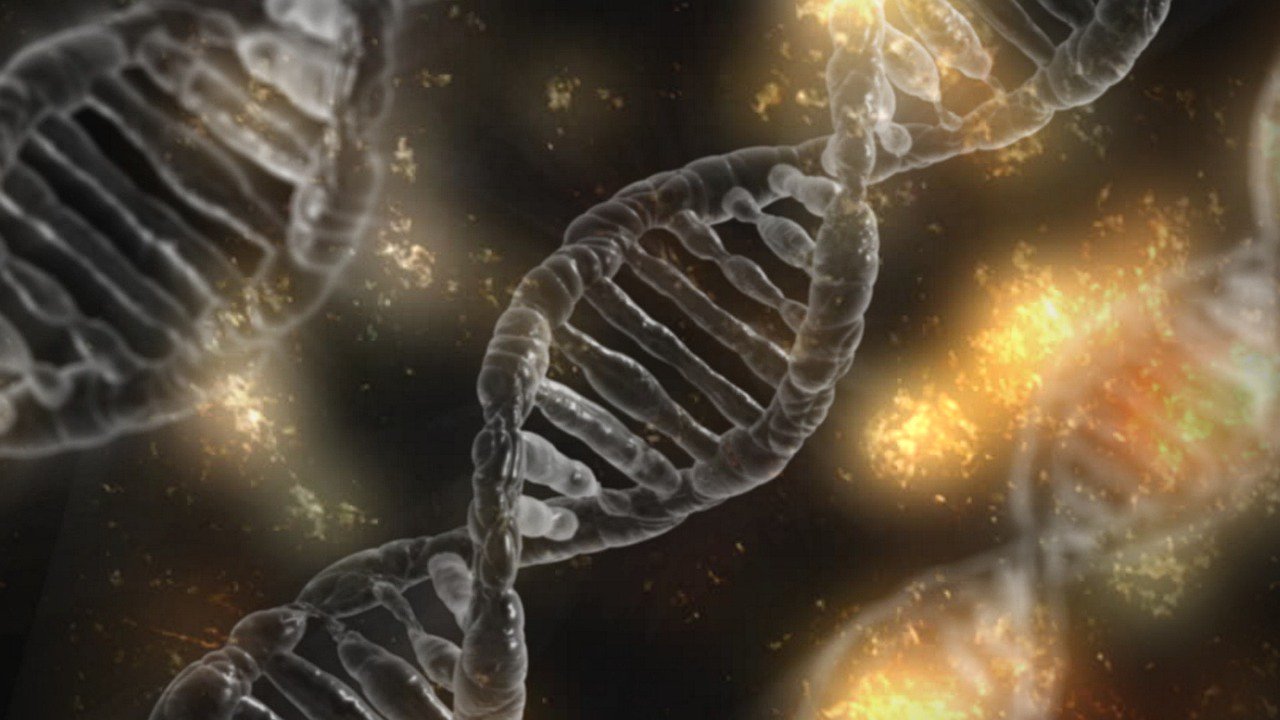 Биологи смогли включить «починку ДНК» в опухолевых клетках