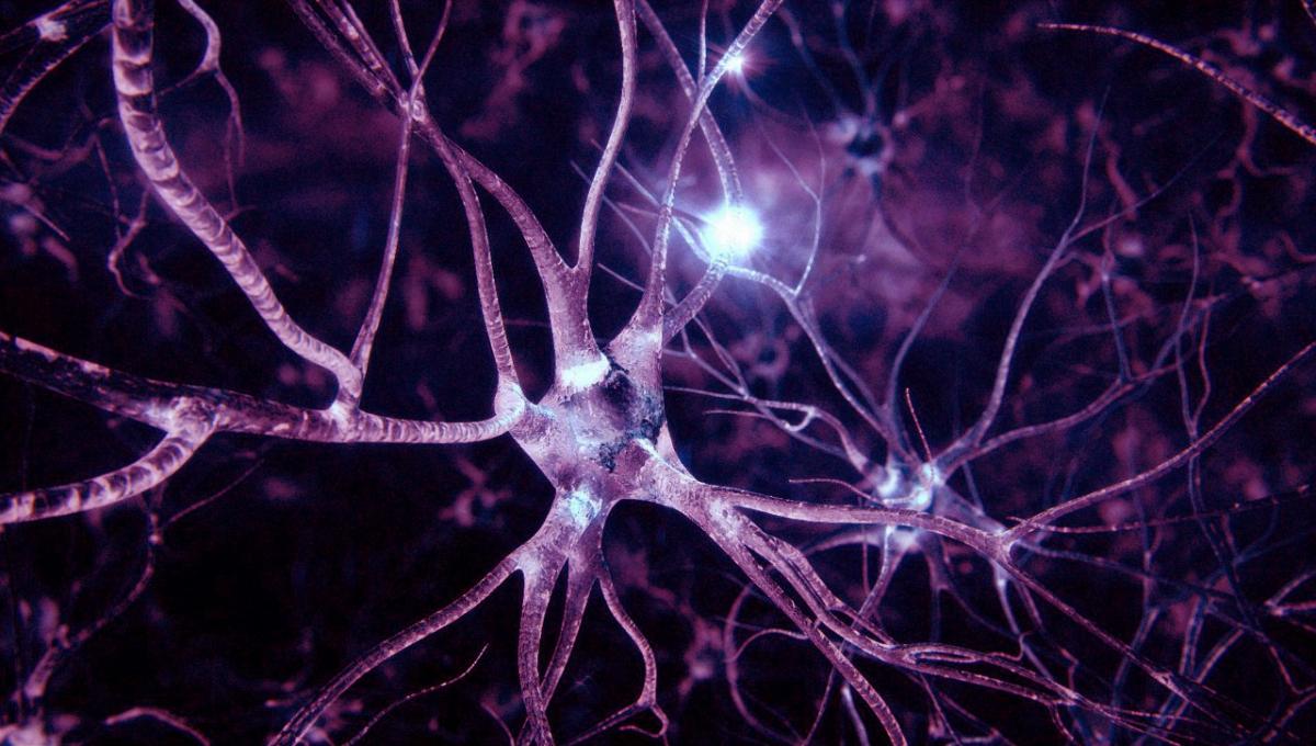 Медики научились восстанавливать нервные клетки