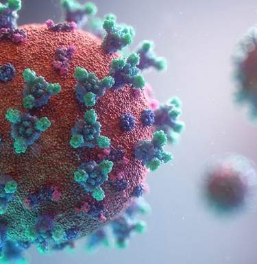 Ученые США обнаружили гены человека, которые борются с коронавирусом