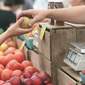 какие продукты убивают паразитов в организме какие продукты убивают паразитов в организме